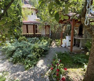 Sovata House | Green