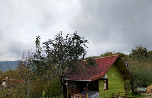 Sapanca House | Greenlife sapanca