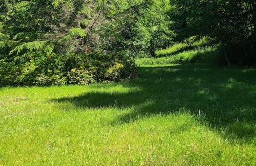 Port Angeles East House | Greentree Pacific House