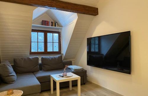 Auerbach Apartment | Großherzögliches Jägerhaus