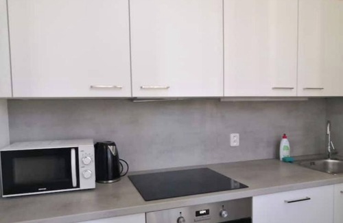 Karlin Apartment | Group family apartment near Florenc walk to center