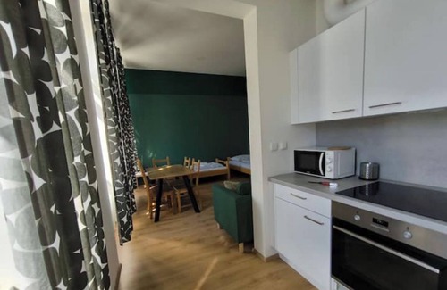 Karlin Apartment | Group family apartment near Florenc walk to center