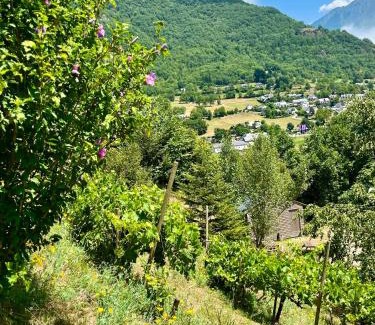 Luz-Saint-Sauveur Apartment | GS4 DUPLEX 4 PERS TERRASSE 5mn LUZ 15mn ARDIDEN