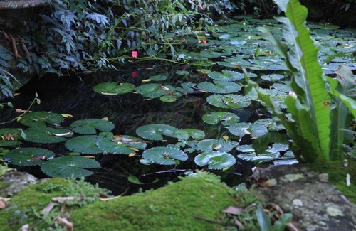 Heping Villa | Guduo Homestay