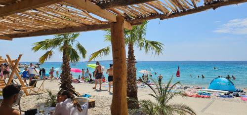 Gajac House | Guest House Jasna