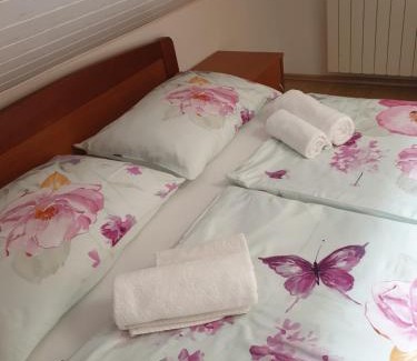 Njivice Apartment | Guest house Lavanda 4