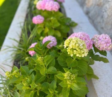 Nerezine House | Guest House Lena, Nerezine, Mali Losinj