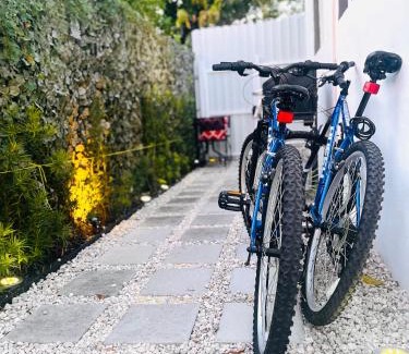 Allapattah Apartment | Guesthouse w Bikes near Wynwood