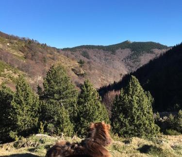 Les Bains de la Preste Hotel | Hôtel Val Du Tech