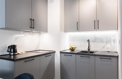 Grunwald Apartment | H2 APARTMENT- Gąsiorowskich 4 - Parking Podziemny - Self Check In 24h - MTP Targi - PKP - Sklep Netto w budynku