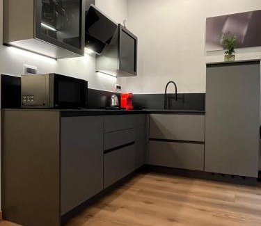 Citta Nuova-Barriera Nuova-San Vito-Citta Vecchia Apartment | Habemus Loft -The Circle raffinato ed esclusivo Art-loft open space nel cuore storico pedonale di Trieste