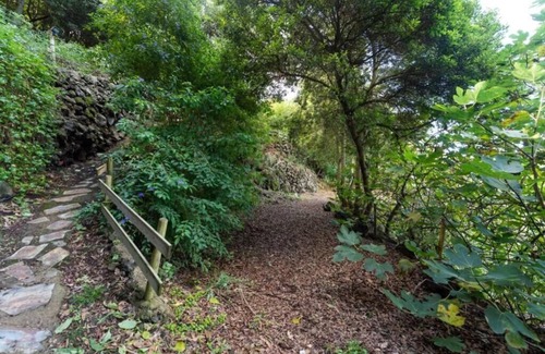 Icod de los Vinos Cottage | Hacienda Jardín de las Hespérides Hesperia. Hacienda Rural en Medio del Bosque