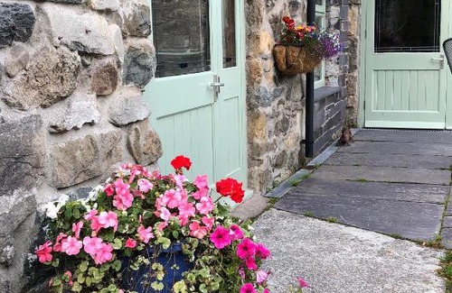 Bangor House | Hafan Cottage at Bryn Llys