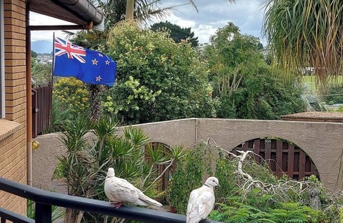 Tauranga Cabin | Haleys cabin. Bedroom with Queen bed and ensuite only. Superb Pool & cabana.