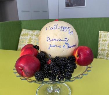 Rivalta sul Mincio Apartment | Halloggio98