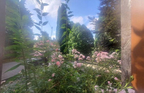 Survie Cottage | Hampton cottage