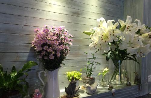 Taitung City Centre House | HANA Homestay