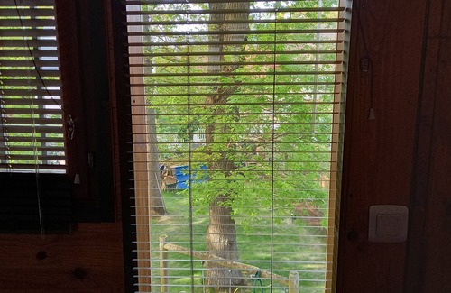 Villebon-sur-Yvette Cabin | Hanging tree house