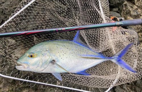 Lyudao Hotel | HaoYuo Hotel船票機車活動代訂優惠ferry scooter water acs