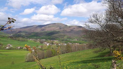 Jaxu House | Harkurutxea