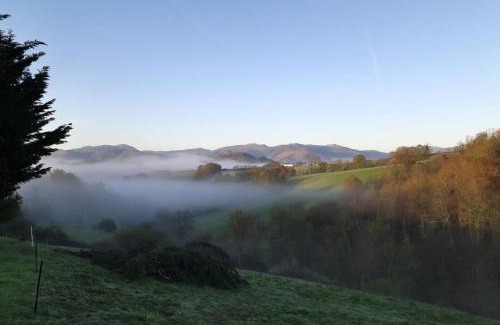 Jaxu House | Harkurutxea