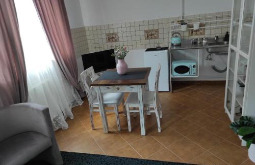 Nowy Sacz Apartment | Harmonica Studio