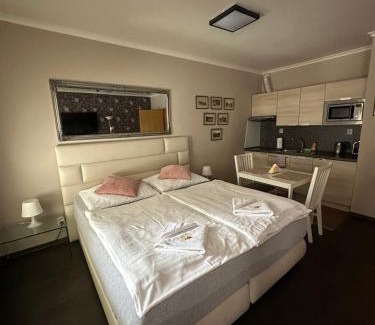 Harrachov Apartment | Harrachov Resident Apartments "Terrace & Chill" - high speed WiFi, možnost snídaně, Smart TV, Netflix, Disney plus