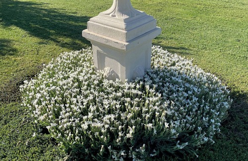 Robin Hill Cottage | Hartwood Lodge - Breathtaking Panoramic Views - Self-contained 2 bedroom cottage