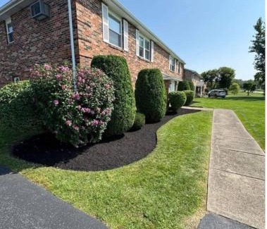 Niagara Falls Apartment | Harvest Haven's Plaza Paradise