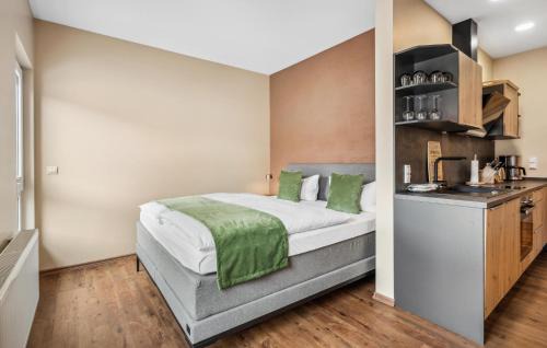 Naumburg Apartment | Haus Alte Schmiede Apt5