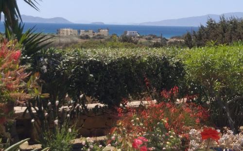 Naxos Apartment | Haus Asterakia