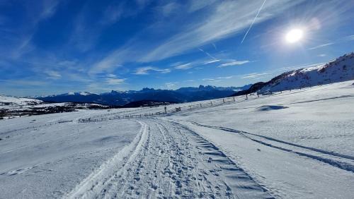 Albions Apartment | HAUSERHOF Chalet Escape & Dolomite View