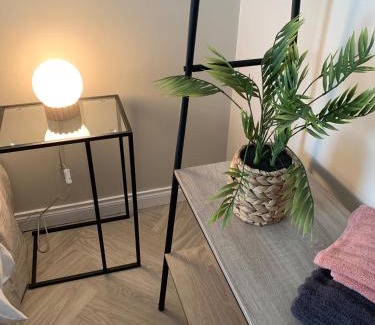 Belfast Apartment | Havens nest