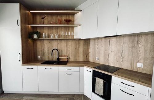 Bydgoszcz Apartment | Heart of the City Apartment
