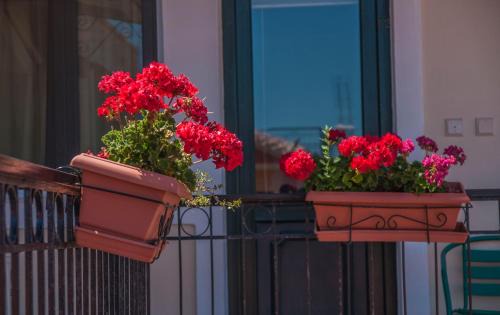 Lesvos Apartment | Heliotrope The Studios