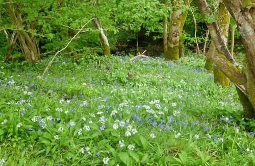 Denbigh Cottage | HENDRE ALED FARMHOUSE, pet friendly, with open fire in Llansannan