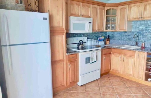 Jimmy Hill House | Henry Louise & The Parrot