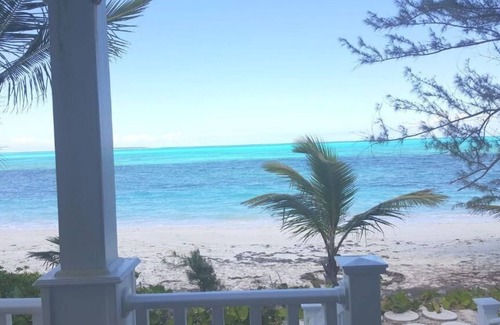 Jimmy Hill House | Henry Louise & The Parrot