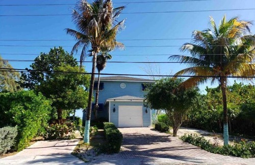 Jimmy Hill House | Henry Louise & The Parrot