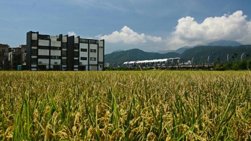 Dongshan House | Hi Zebra Travel B&B