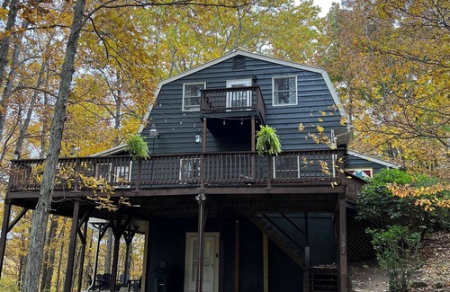 Boone Cabin | Hickory Hollow: Boone's Best Adventures