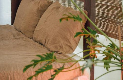 Binh Thanh House | Hidden Urban Tree House