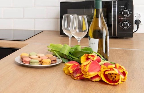 Lodz Apartment | Hideaway Apartment - Terrace with Garden & Parking by Rentujemy