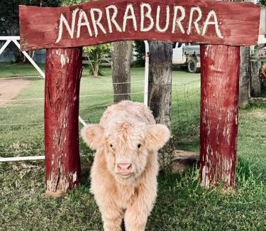 Kooroongarra House | Highland Cattle Farmstay at Narraburra - entire house