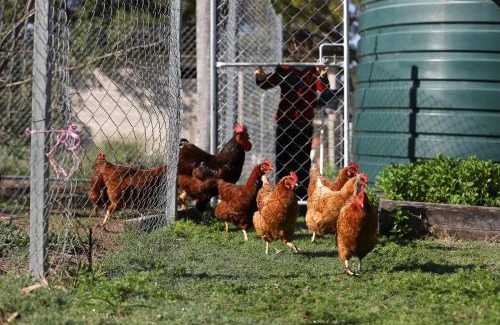 Kooroongarra House | Highland Cattle Farmstay at Narraburra - entire house