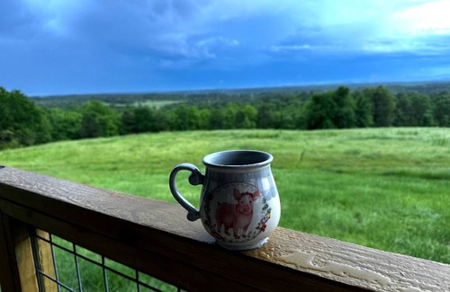 Smithville Cabin | Hilltop Escape - Serene Honeymoon Cabin