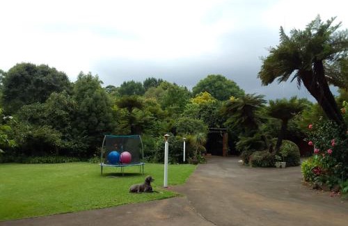 Hilton Apartment | Hilton Castle