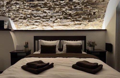 Stare Mesto Apartment | Historic Arch Apartment - Karlova Street