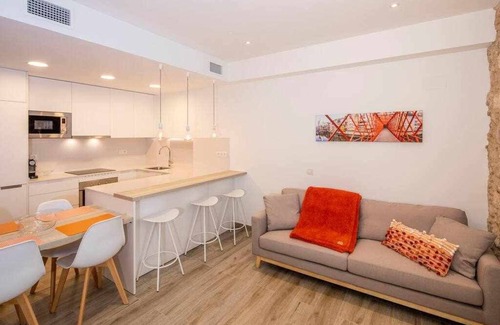 Barri Vell Apartment | Historical apartment in the Barri Vell, Girona