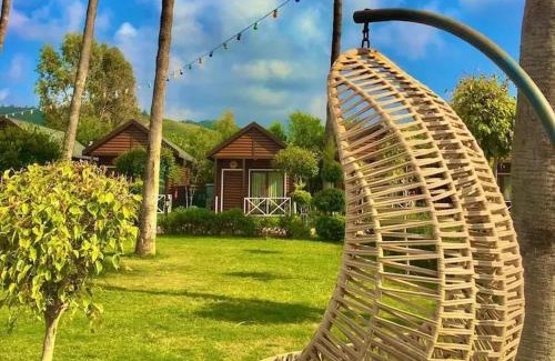 Alanya Hotel | Hitit Marina Hotel & Bungalows